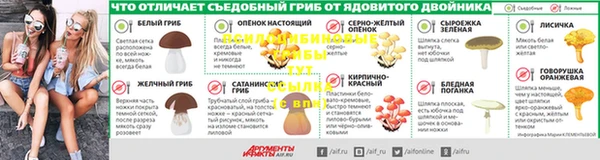 метадон Алексин