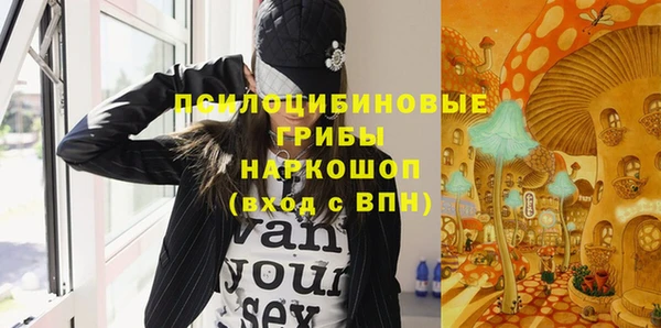 метадон Алексин